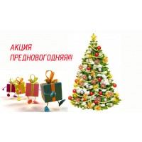 Предновогодняя акция.
