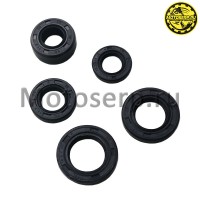 motoserp.ru - Сальники двигателя 139FMB (13.7*24*5, 12*21*4, 11.6*24*10, 17*29*5, 18.9*30*5) Альфа и др (комп) (MM 13721 (Дан (ML 2566 (TATA 10012240 (ANKON 011145 - МотоВелоЦентр г.Серпухов