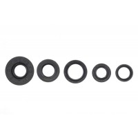 motoserp.ru - Сальники двигателя 1E40QMB (20*42*8, 25*35*7, 20*30*6, 17*28*5, 20*26*5)  2т Skif , Tactic и др (комп) (MT P-1494 - МотоВелоЦентр г.Серпухов