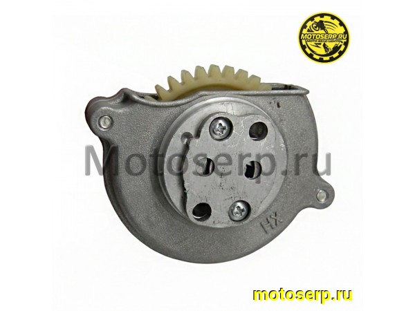 Купить  Насос масляный в сб 164FML  Stels SB200 и др (шт) (0 купить с доставкой по Москве и России, цена, технические характеристики, комплектация фото  - motoserp.ru