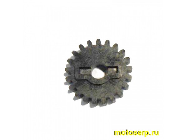 Купить  Шестерня помпы CF X8 (шт) (MP 0800-080002 купить с доставкой по Москве и России, цена, технические характеристики, комплектация фото  - motoserp.ru