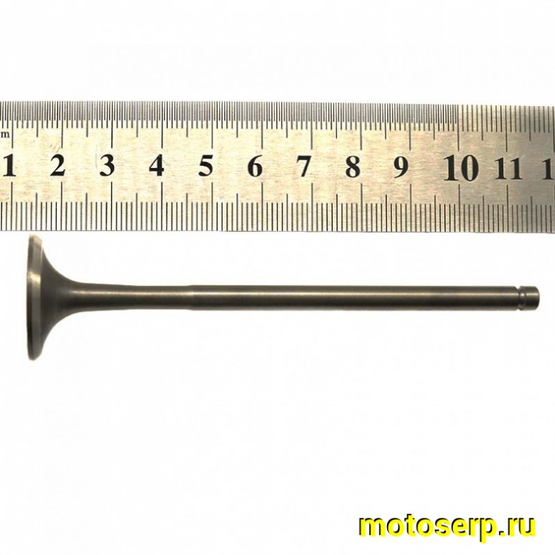 Купить  Клапан 177ММ (впуск/выпуск) (D-28mm, d-24mm, L-100mm, l-100mm, T-5mm, t-5mm) ZS170MM-2 ZS177MM(NC250) (пар) (ML 14967 купить с доставкой по Москве и России, цена, технические характеристики, комплектация фото  - motoserp.ru