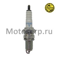 motoserp.ru - Свеча зажигания ( 8) NGK DPR8EA-9 (шт) (Regul 101069 - МотоВелоЦентр г.Серпухов