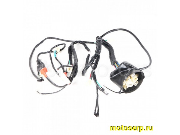 Купить  Проводка главная TTR250Rb (шт) (TATA 707000068 купить с доставкой по Москве и России, цена, технические характеристики, комплектация фото  - motoserp.ru