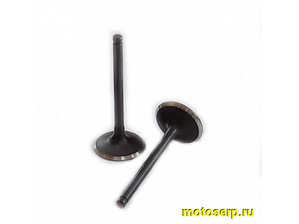 Купить  Клапан YX150,160 (впуск) (D-28mm, L-73mm, T-5mm) (шт) (TATA 703000013 купить с доставкой по Москве и России, цена, технические характеристики, комплектация фото  - motoserp.ru