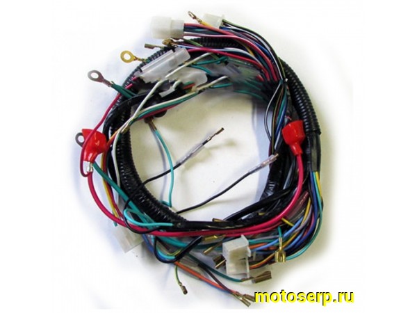 Купить  Проводка главная Альфа, Дельта, Орион и др. мопеды (шт) (TATA 16018668 (Мир 12628 купить с доставкой по Москве и России, цена, технические характеристики, комплектация фото  - motoserp.ru