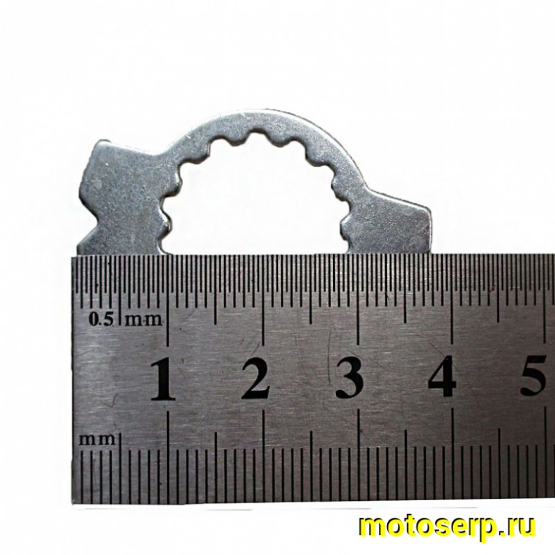 Купить  Шайба стопорная звезды 1E66MM GR7 двиг. MT-250 2T OEM Lanza  (шт)  (SM 757-2001 купить с доставкой по Москве и России, цена, технические характеристики, комплектация фото  - motoserp.ru