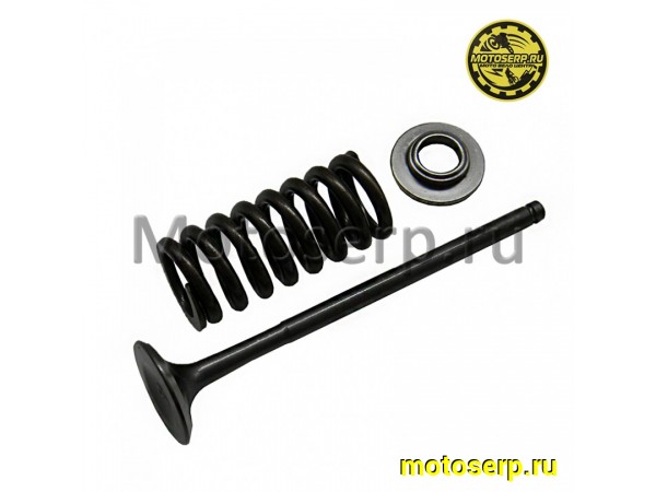 Купить  Клапан 169MM (выпуск) (D-24mm, L-100mm, T-5mm) ZS169MM  (комп) (шт)  (0 купить с доставкой по Москве и России, цена, технические характеристики, комплектация фото  - motoserp.ru