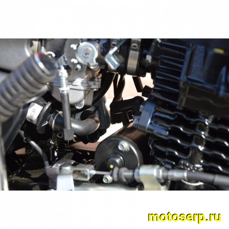 Купить  Мотоцикл BAJAJ Pulsar NS125 ( Баджаж Пульсар 125) 125сс,4-такт.,возд.охл.,карбюр.,кол.17"/17" (шт) купить с доставкой по Москве и России, цена, технические характеристики, комплектация фото  - motoserp.ru