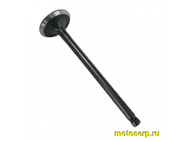 Купить  Клапан 161QMK (впуск) (D-23mm, L-80mm, T-5mm)  (шт)  (AVANTIS 17336 купить с доставкой по Москве и России, цена, технические характеристики, комплектация фото  - motoserp.ru
