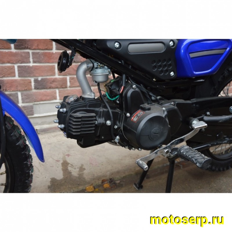 Купить  Мопед MM COLT2 (ALLOY) (Кольт-2 ALLOY) 50сс 4Т, в стиле Каферейсер на внедорожн. резине, колеса 17" Диск/Бараб (шт) 01100 (MM 76975 купить с доставкой по Москве и России, цена, технические характеристики, комплектация фото  - motoserp.ru