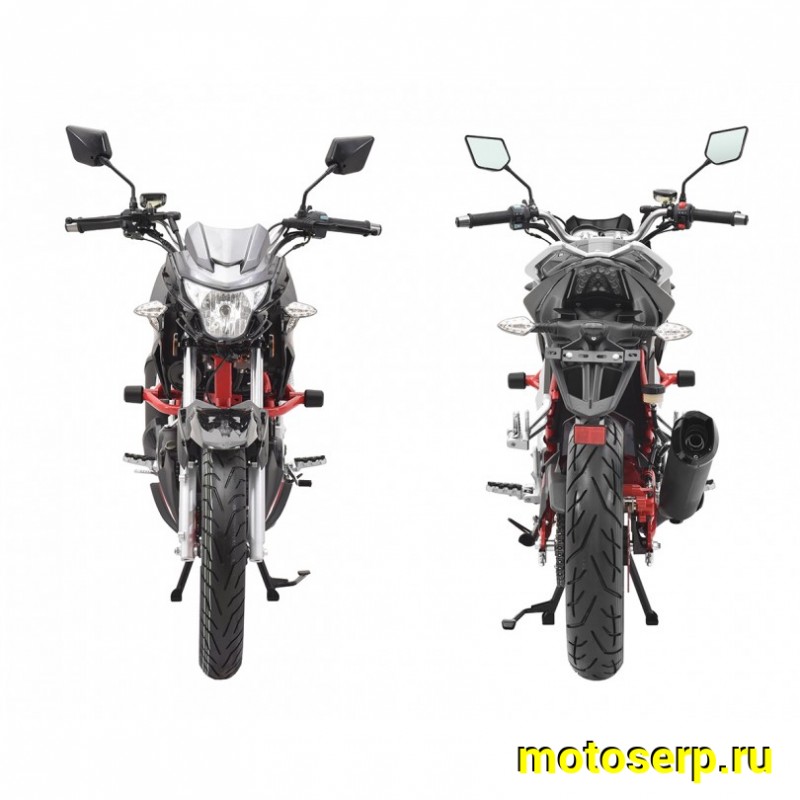 Купить  Мотоцикл Regulmoto Raptor new (Регулмото Раптор нью) 250сс,4Т ,возд.охл.,торм. диск/диск,,кол. 17"/17" (шт) (Regul купить с доставкой по Москве и России, цена, технические характеристики, комплектация фото  - motoserp.ru
