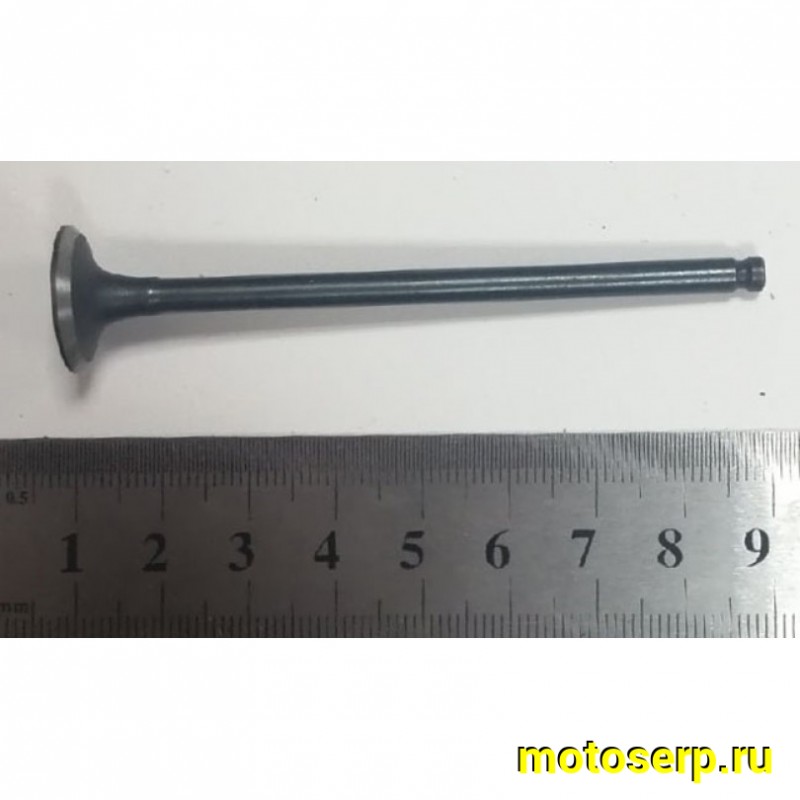 Купить  Клапан Yamaha VINO 4T и др.  (2-впуск/1-выпуск) (D-16,5mm, d-15.5mm, L-78mm, l-77,5mm, T-4mm, t-4mm) "SEE" (TW) (пар) (К-дар 2100382 купить с доставкой по Москве и России, цена, технические характеристики, комплектация фото  - motoserp.ru