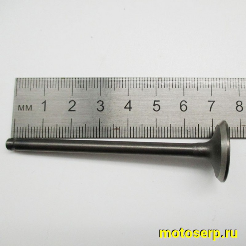 Купить  Клапан Honda AF56 4T (впуск/выпуск) (D-20mm d-16mm, L-74mm, l-73mm, T-4.5mm, t-4.5mm) "SEE" (TW) (пар) (К-дар 2100381 купить с доставкой по Москве и России, цена, технические характеристики, комплектация фото  - motoserp.ru