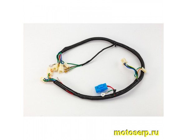 Купить  Проводка главная Avantis питбайк (шт) (AVANTIS 12700 купить с доставкой по Москве и России, цена, технические характеристики, комплектация фото  - motoserp.ru