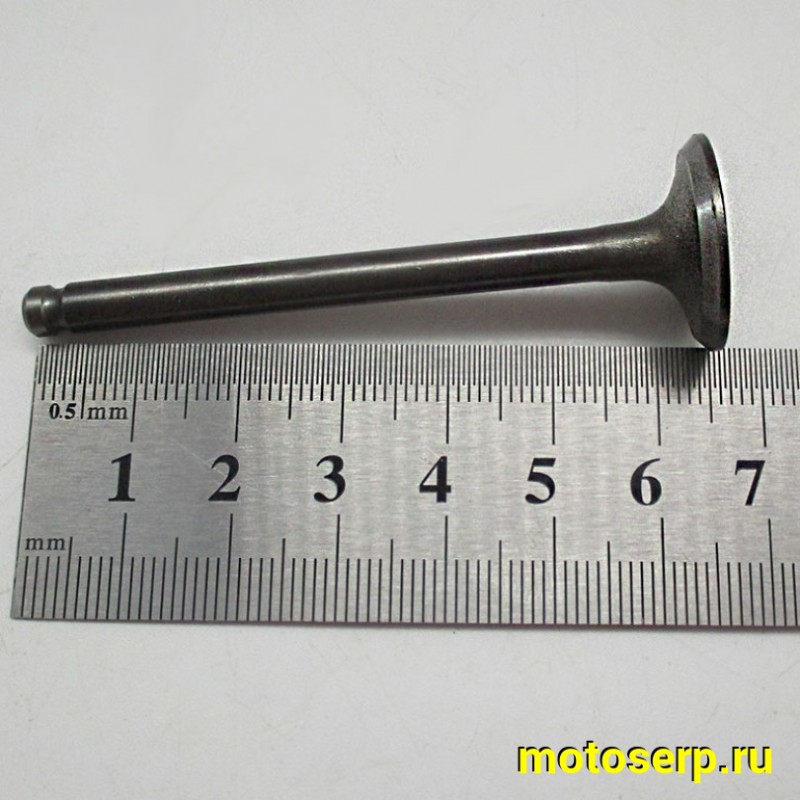 Купить  Клапан 139FMB (впуск/выпуск) (D-23mm, d-20mm, L-66mm, l-65mm, T-5mm, t-5mm) YX125,YX140,LF120 OEM (пар) (Кокурин купить с доставкой по Москве и России, цена, технические характеристики, комплектация фото  - motoserp.ru
