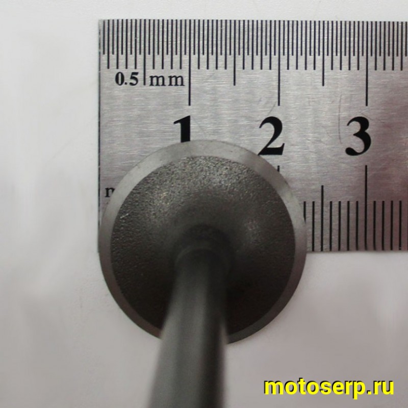 Купить  Клапан 139FMB (впуск/выпуск) (D-23mm, d-20mm, L-66mm, l-65mm, T-5mm, t-5mm) YX125,YX140,LF120 OEM (пар) (Кокурин купить с доставкой по Москве и России, цена, технические характеристики, комплектация фото  - motoserp.ru