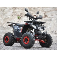motoserp.ru - 125cc Комплект запчастей для сборки MILLENNIUM 125A (Милленниум)  125сс, утилит, 2х4, колеса 8", автомат, реверс,  (шт) (ТехМаркет - МотоВелоЦентр г.Серпухов