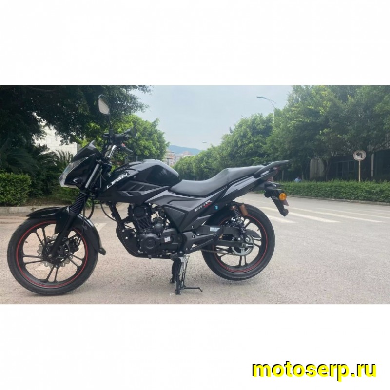 Купить  Мотоцикл LIFAN LF175-2E черный 175сс, 17,17", диск/бараб (шт) (UM купить с доставкой по Москве и России, цена, технические характеристики, комплектация фото  - motoserp.ru