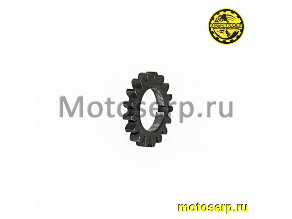Купить  Шестерня привода маслонасоса (на коленвал) 154FMH 125СМ3 D33mm,d19mm,5mm.(шт) (0 купить с доставкой по Москве и России, цена, технические характеристики, комплектация фото  - motoserp.ru