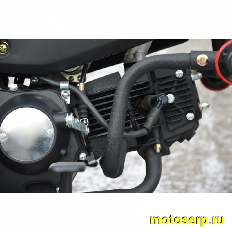Купить  Мопед Alpha Jaguar RS Sport  4Т; 50cc; колеса 17/17"литые; 4пер, эл. старт; диск/бар, обтекатель, пеги (шт) 01250 (ФОТО купить с доставкой по Москве и России, цена, технические характеристики, комплектация фото  - motoserp.ru