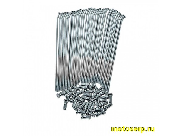 Купить  Спицы переднего колеса 19" Regulmoto Athlete (3.5x225mm) (36шт) (комп) (Regul 845454-1 купить с доставкой по Москве и России, цена, технические характеристики, комплектация фото  - motoserp.ru