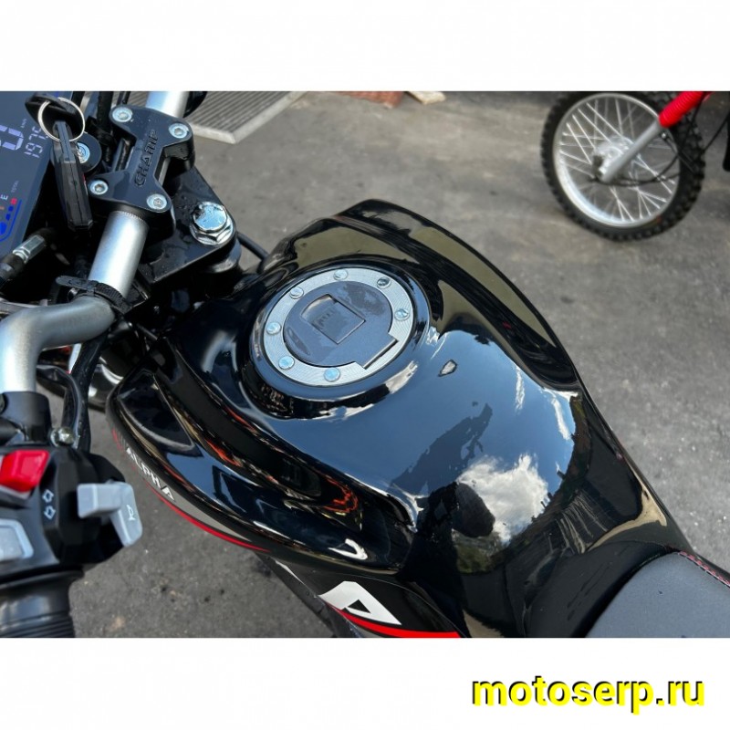 Купить  Мопед Millenium Alpha Champ, пробег 198км  4Т; 50/150cc; колеса 17"литые; 4пер, эл. старт; БЕЗ КИКА!  (шт)  купить с доставкой по Москве и России, цена, технические характеристики, комплектация фото  - motoserp.ru