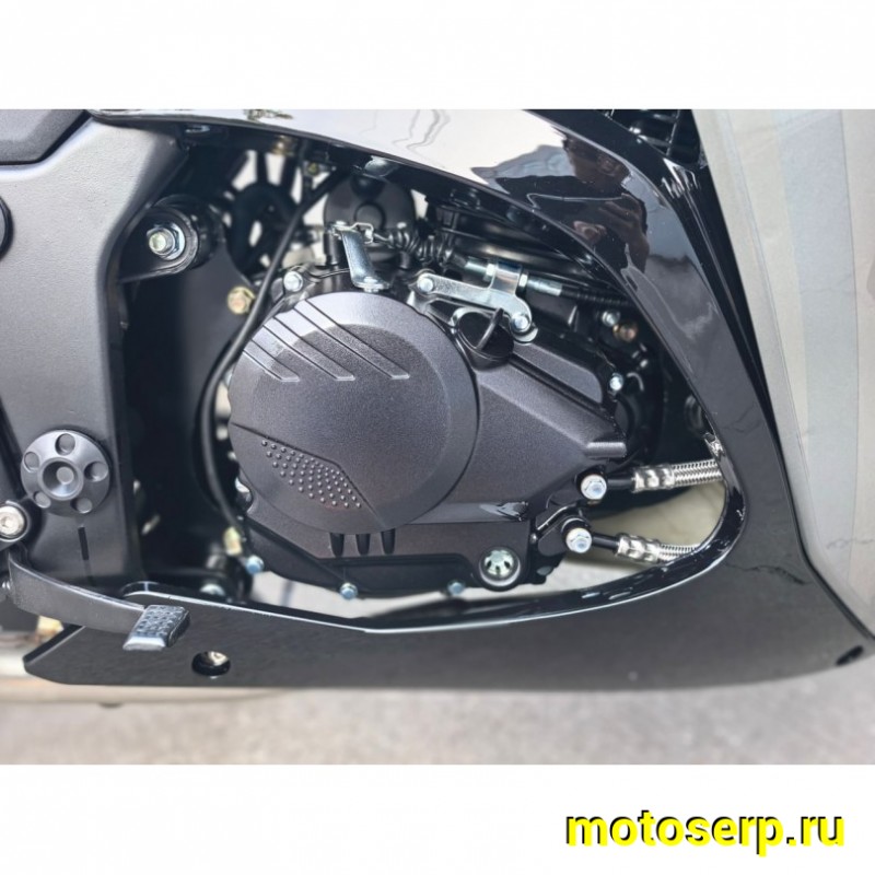 Купить  Мотоцикл MM FALCON PRIME 3 NEW (Kawasaki NINJA ) 2026г. 4Т, 300cc, 175FMN, PR300, 6КПП, 110/150х70-17"(шт) (MM  купить с доставкой по Москве и России, цена, технические характеристики, комплектация фото  - motoserp.ru