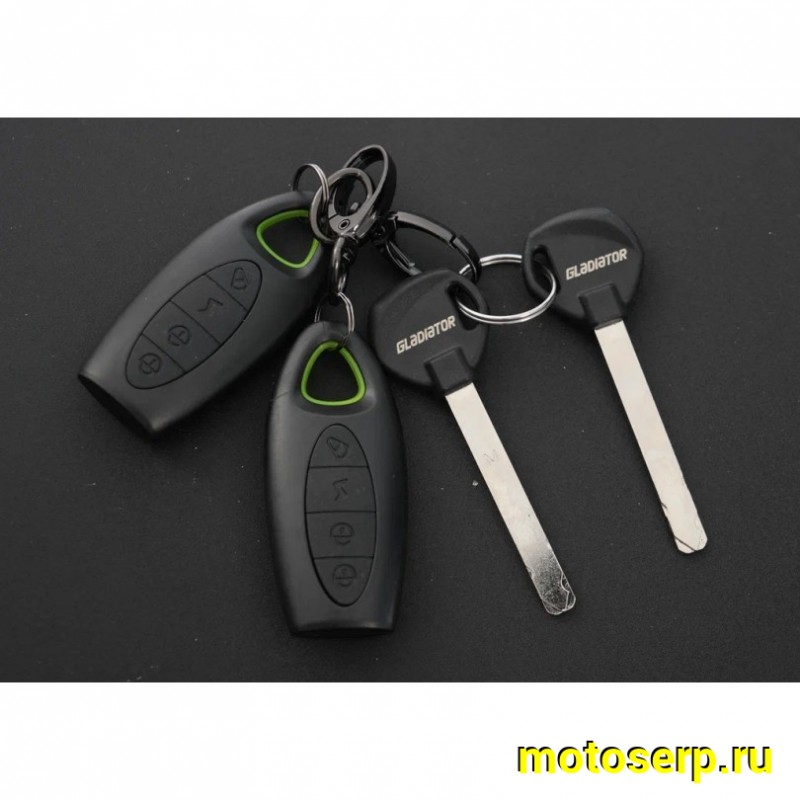 Купить  Скутер Gladiator TVX 14/14", 50сс (шт)  купить с доставкой по Москве и России, цена, технические характеристики, комплектация фото  - motoserp.ru